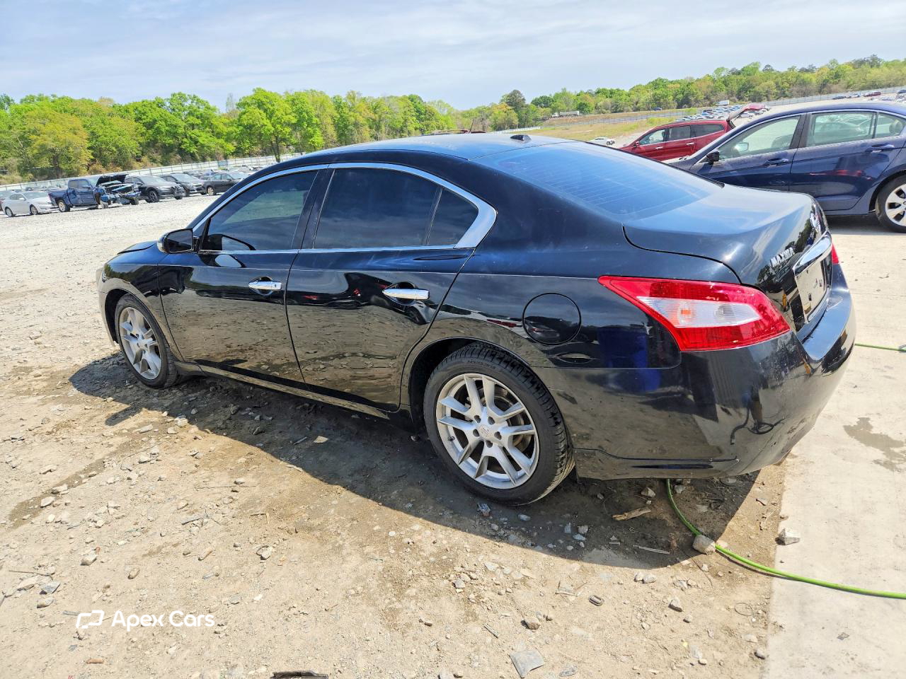 Nissan Maxima 2011