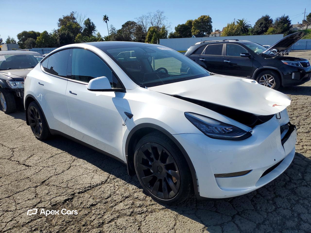 Tesla Model Y 2021