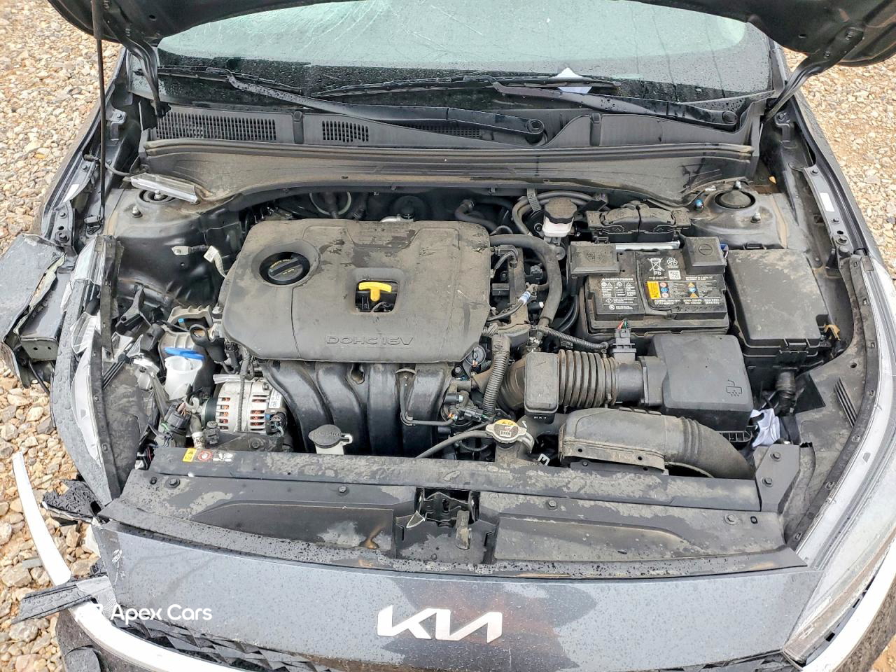 Kia Forte 2024