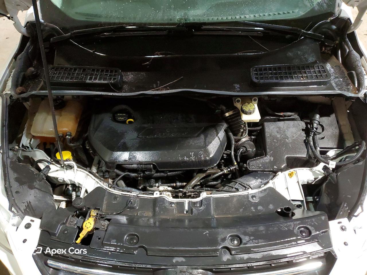 Ford Escape 2014