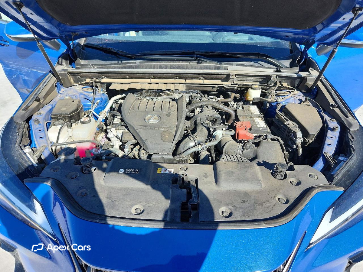 Lexus NX 2022