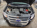 Ford Edge 2013