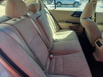 Honda Accord 2013