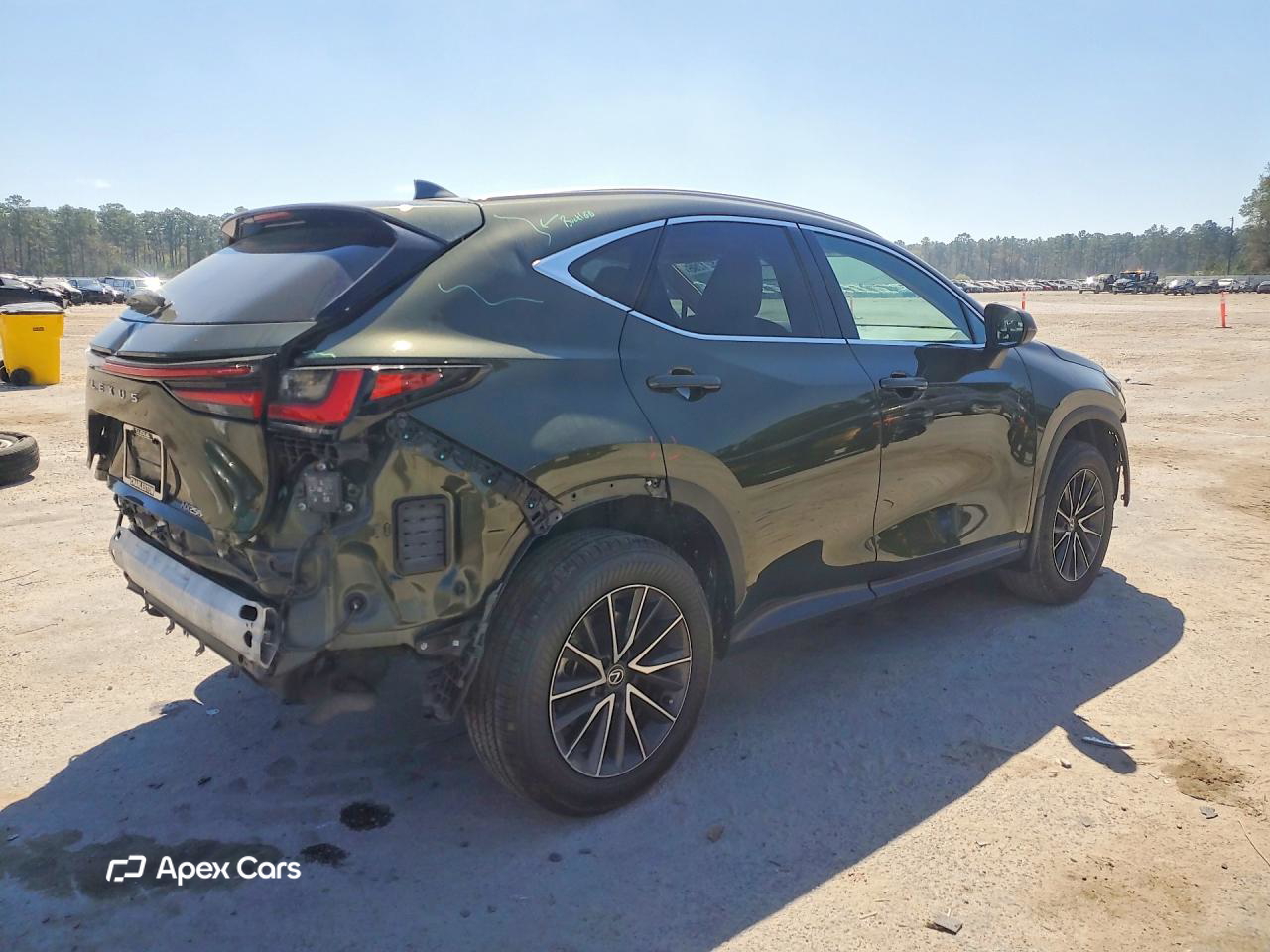 Lexus NX 2024