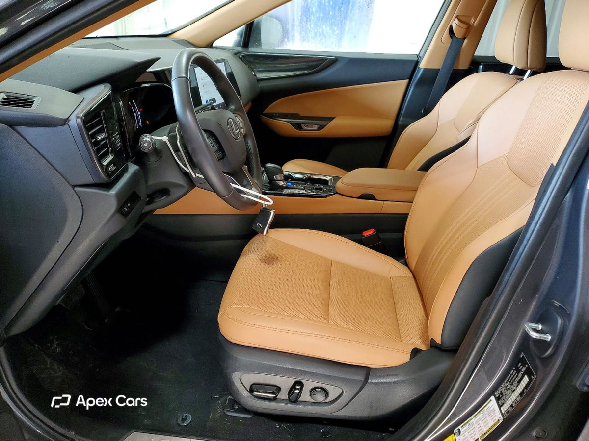 Lexus NX 2024