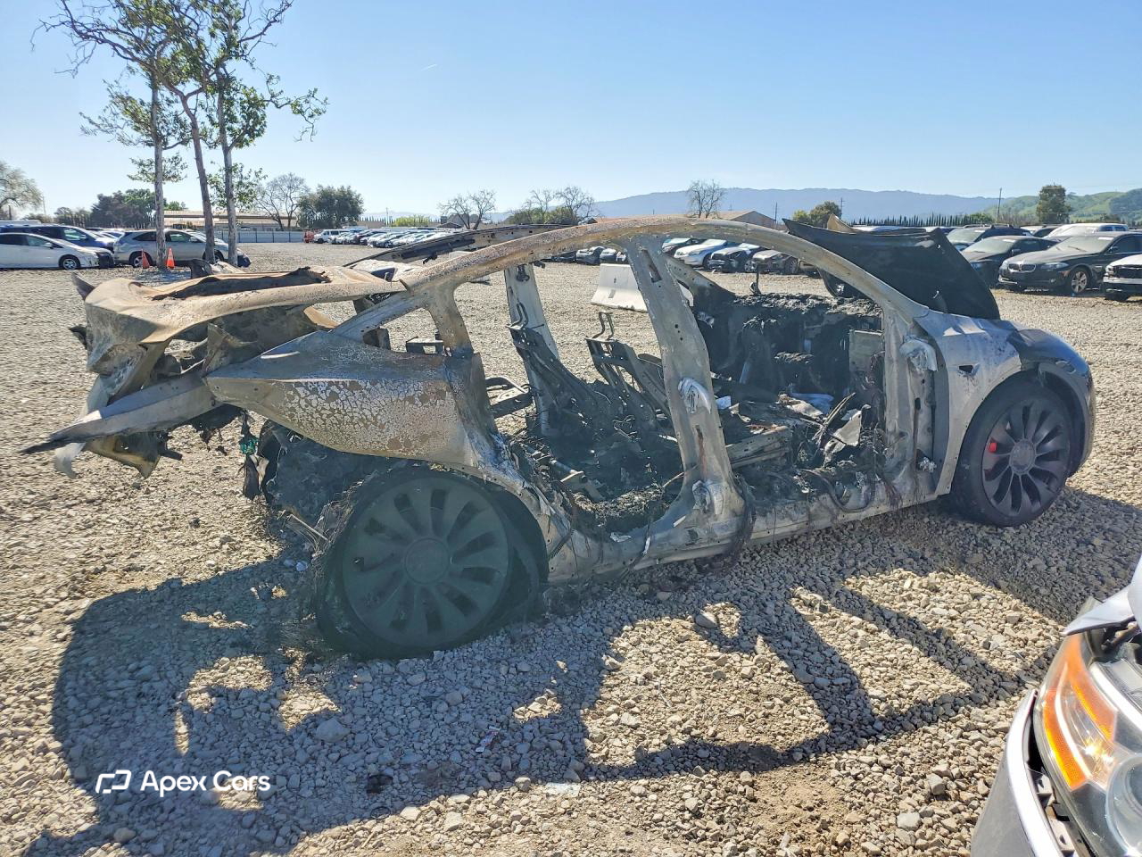 Tesla Model Y 2024