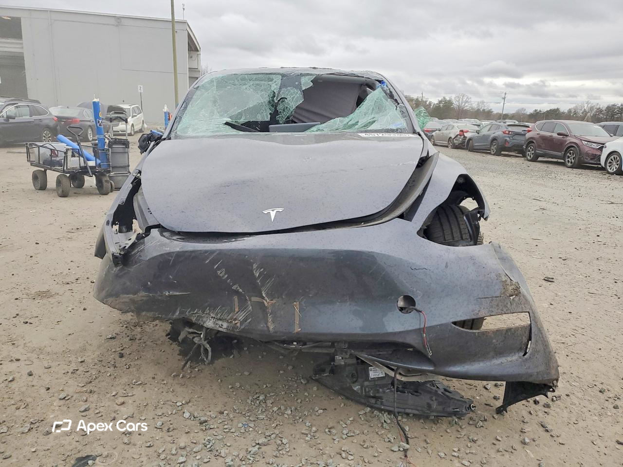 Tesla Model Y 2023