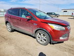 Ford Escape 2014