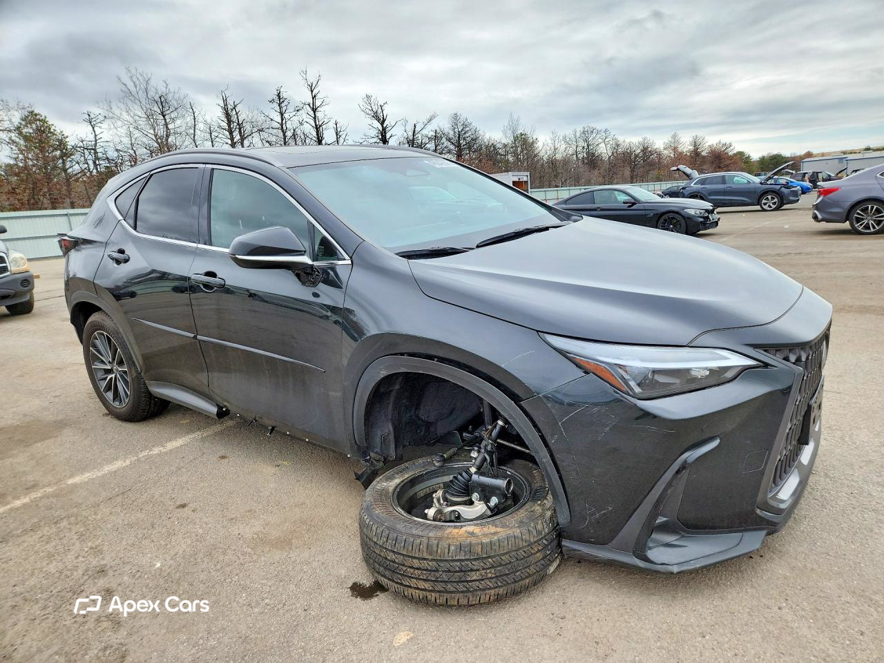 Lexus NX 2024