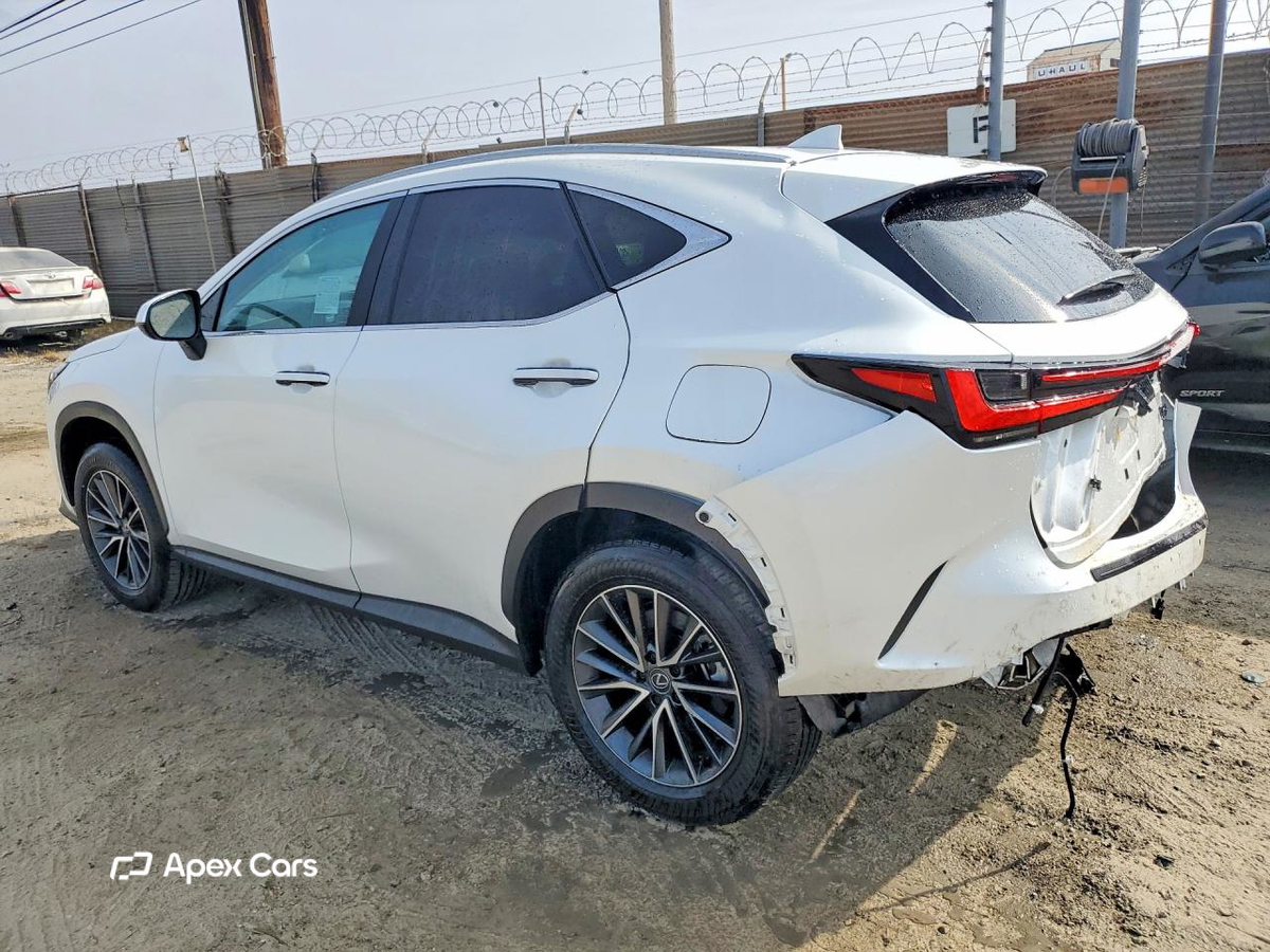 Lexus NX 2025