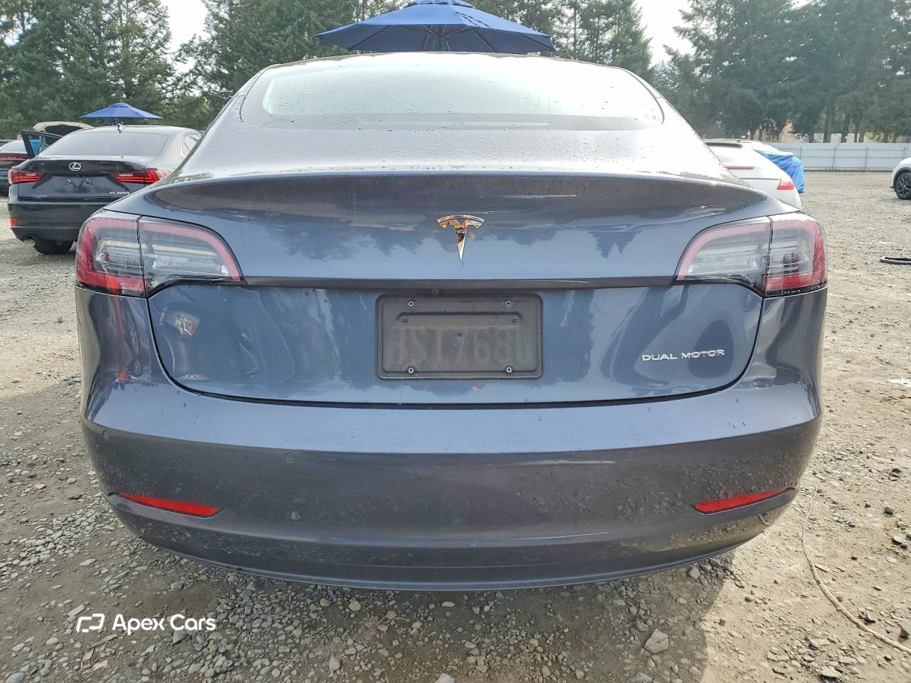 Tesla Model 3 2020