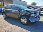 Ford Edge 2010