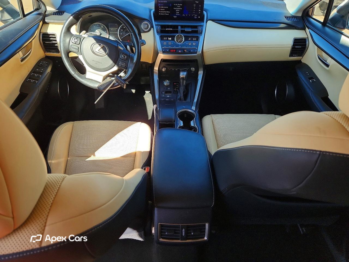 Lexus NX 2019