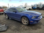 Ford Mustang 2014