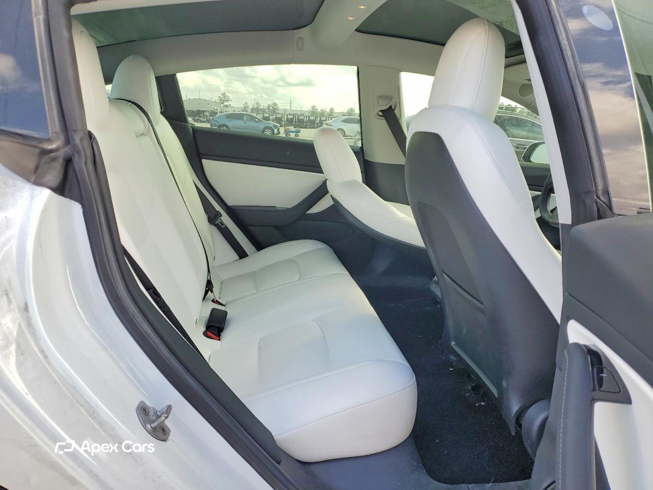 Tesla Model 3 2019