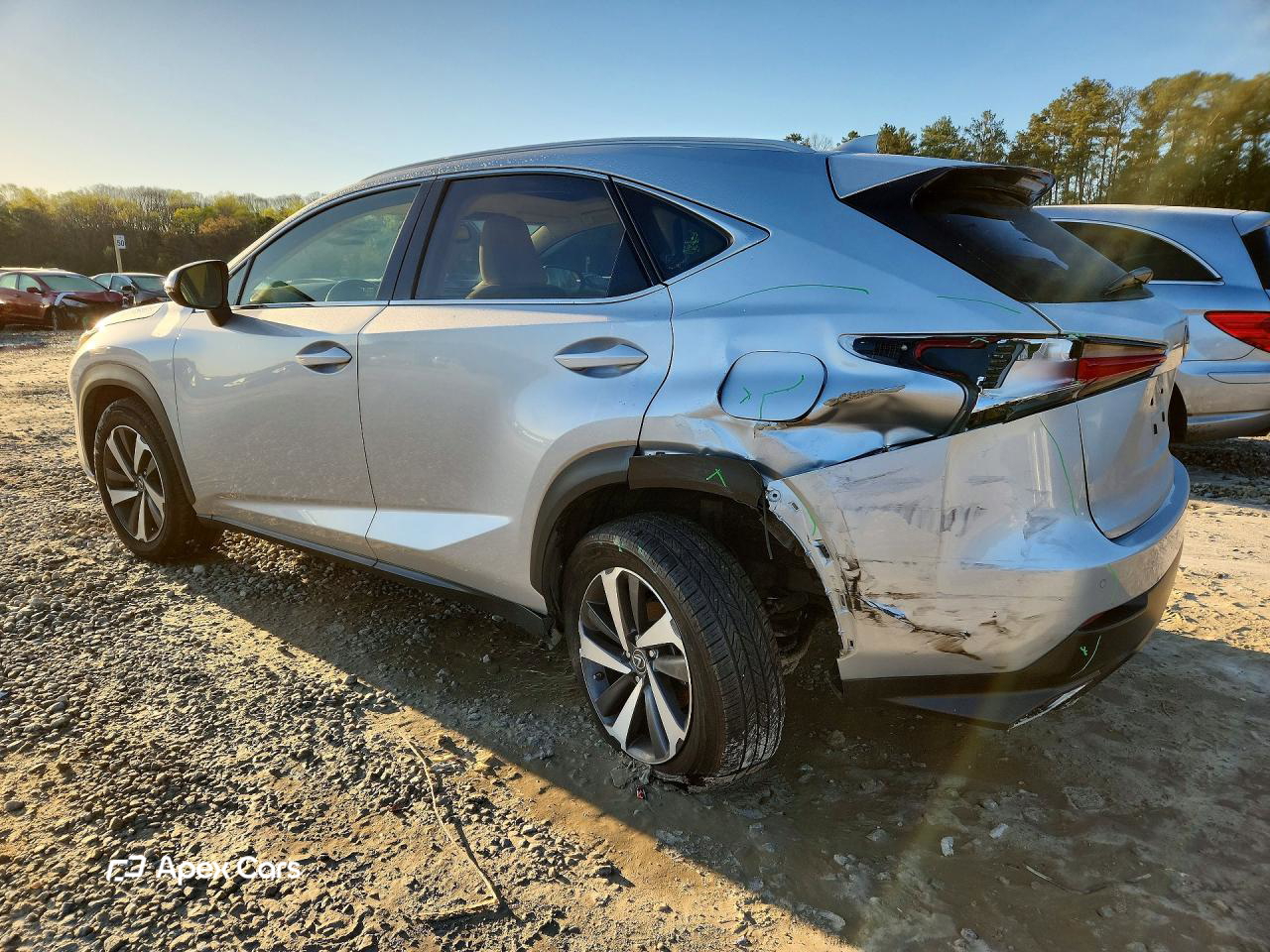 Lexus NX 2019