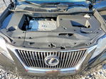 Lexus RX 2010