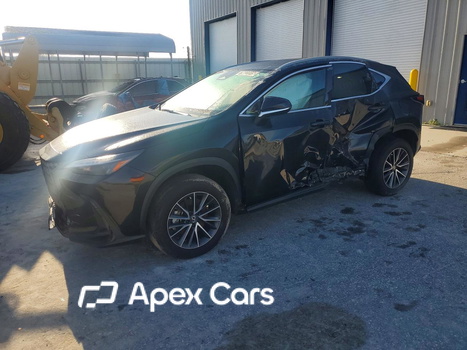 Lexus NX 2024 - Image 1 of 13