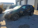Lexus NX 2024