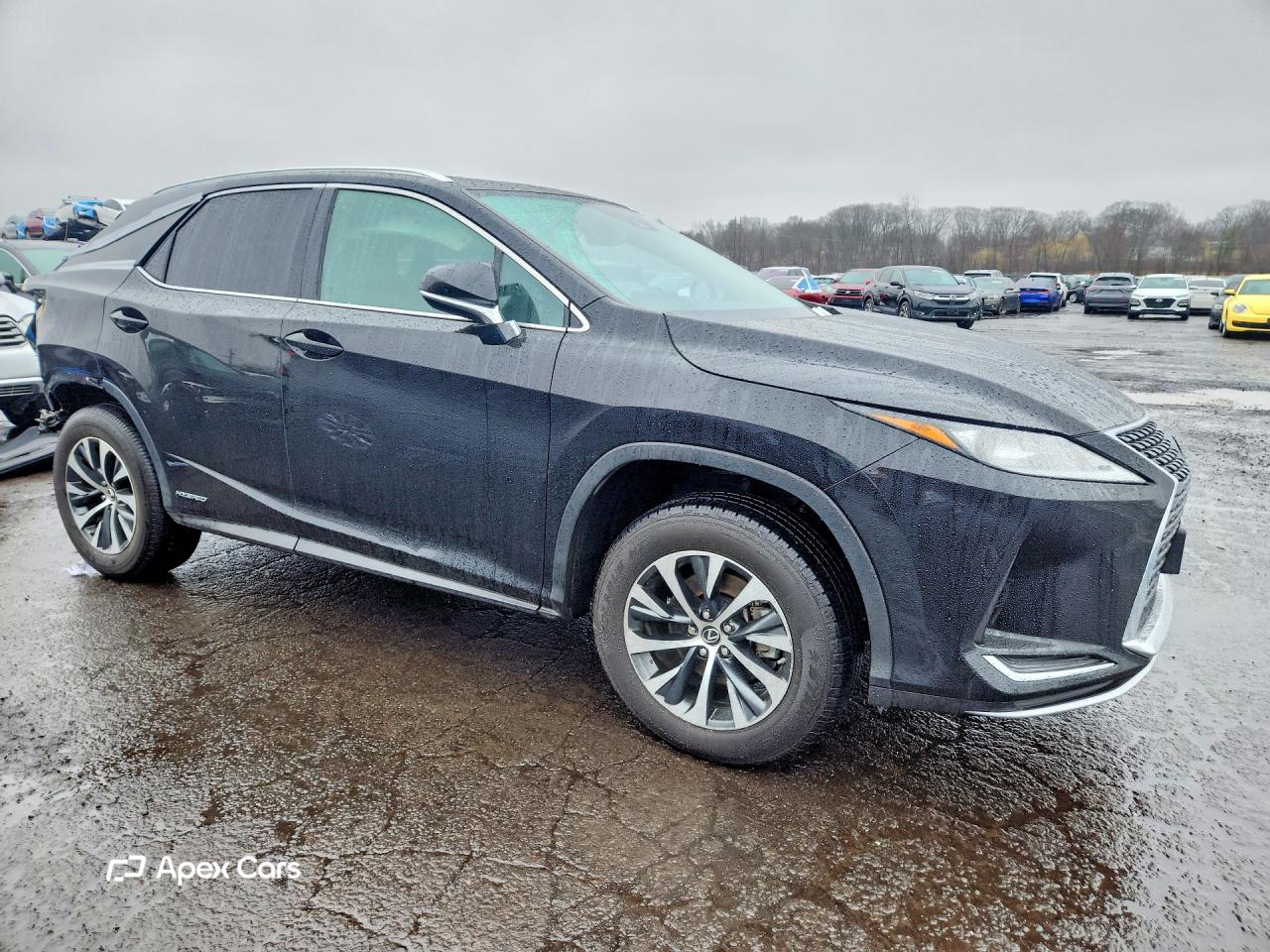 Lexus RX 2021