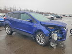 Ford Escape 2013