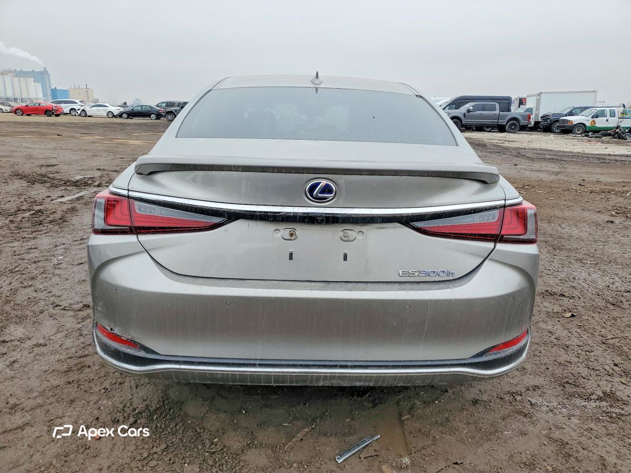 Lexus ES 2020