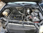 Ford Escape 2010