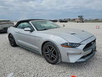 Ford Mustang 2019