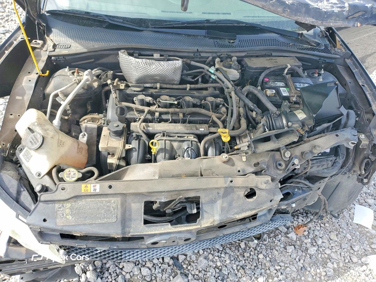 Ford Focus 2010