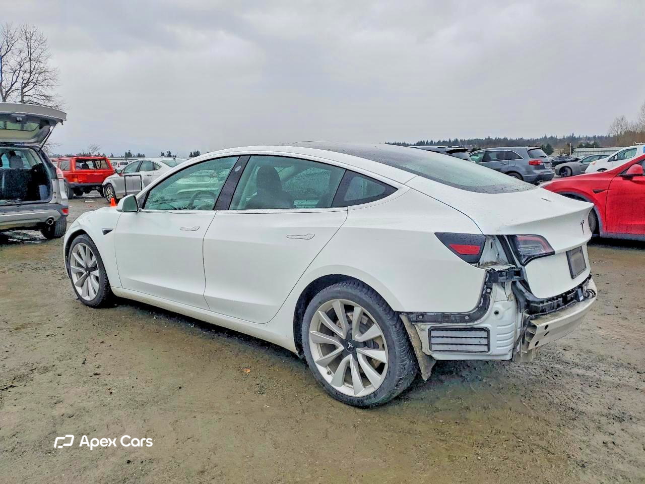 Tesla Model 3 2020