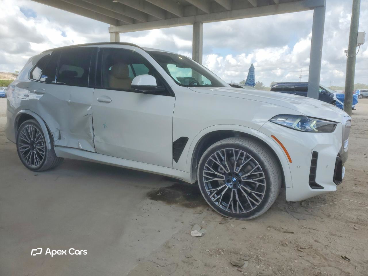 BMW X5 2025
