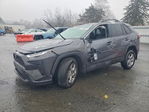 Toyota RAV 4 2025