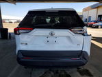 Toyota RAV 4 2024