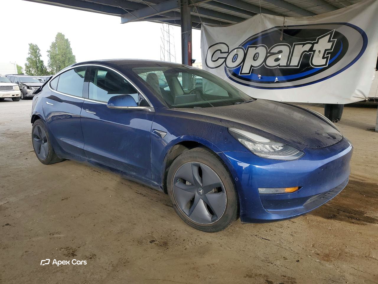 Tesla Model 3 2019