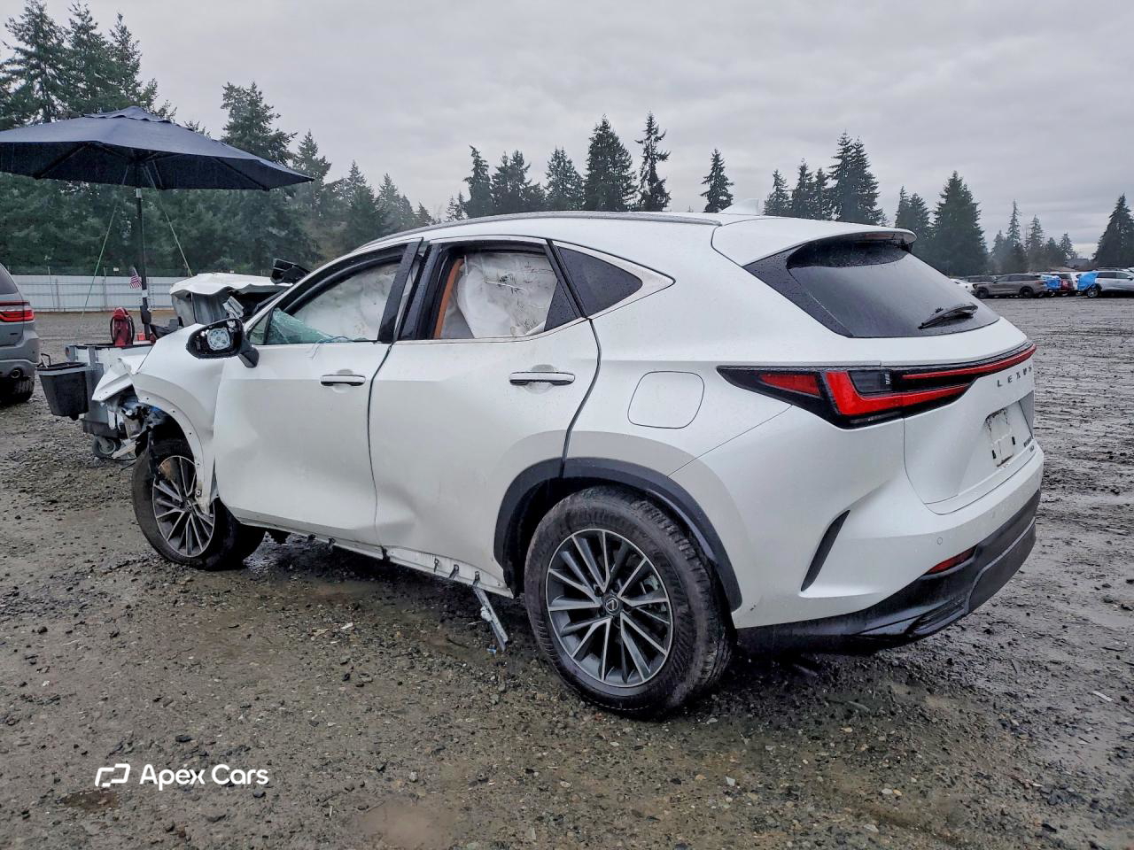 Lexus NX 2024