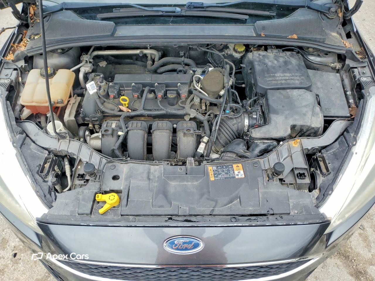 Ford Focus 2015