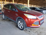 Ford Escape 2016