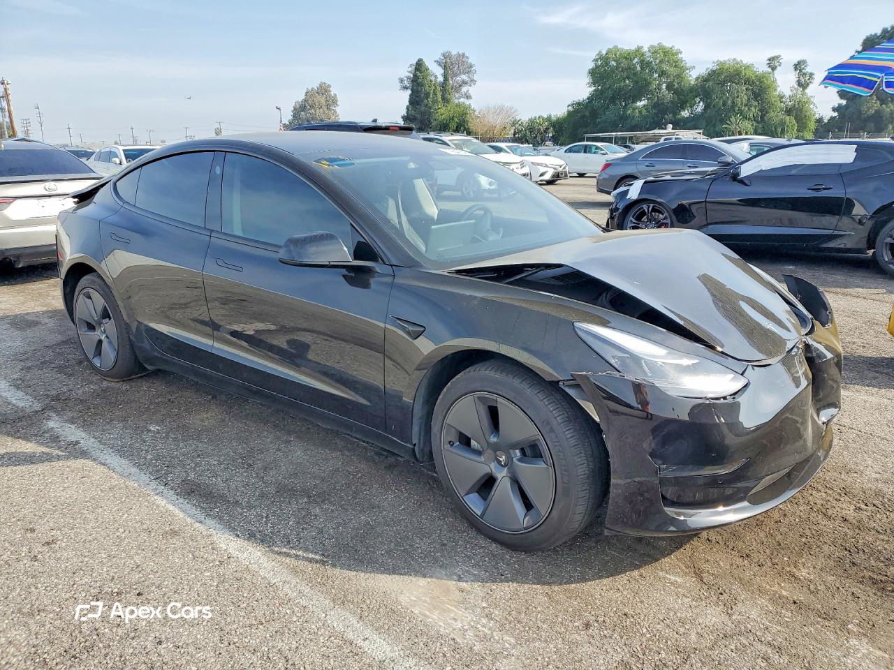 Tesla Model 3 2022