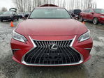 Lexus ES 2025