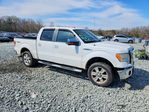 Ford F-150 2009