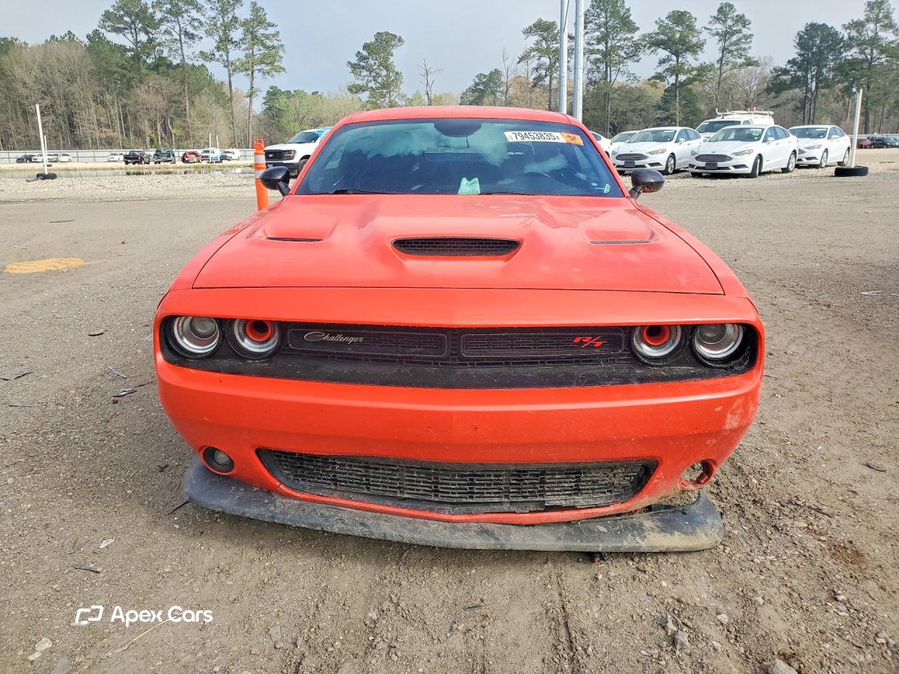 Dodge Challenger 2019