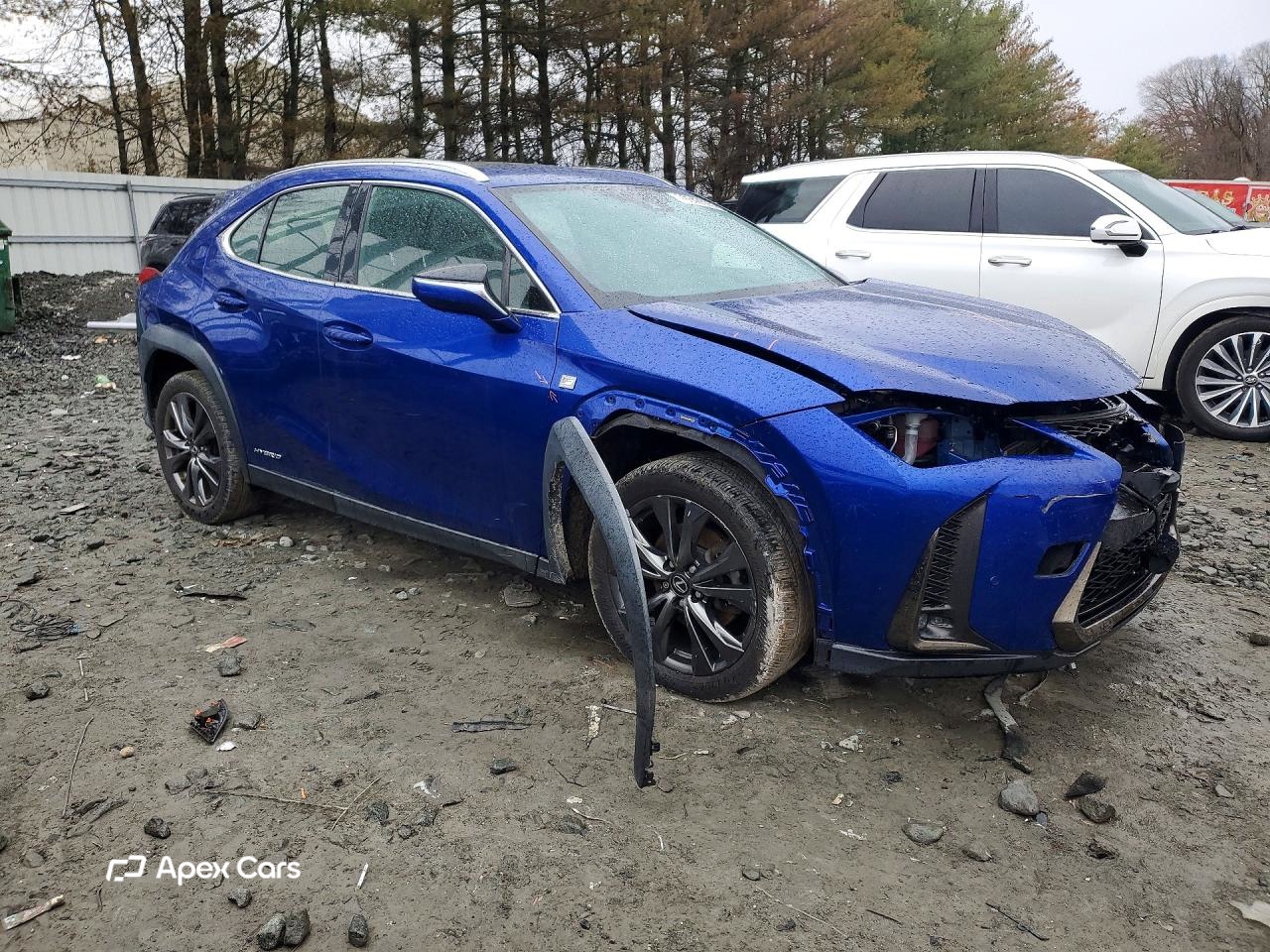 Lexus UX 2019