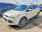 Ford Escape 2013