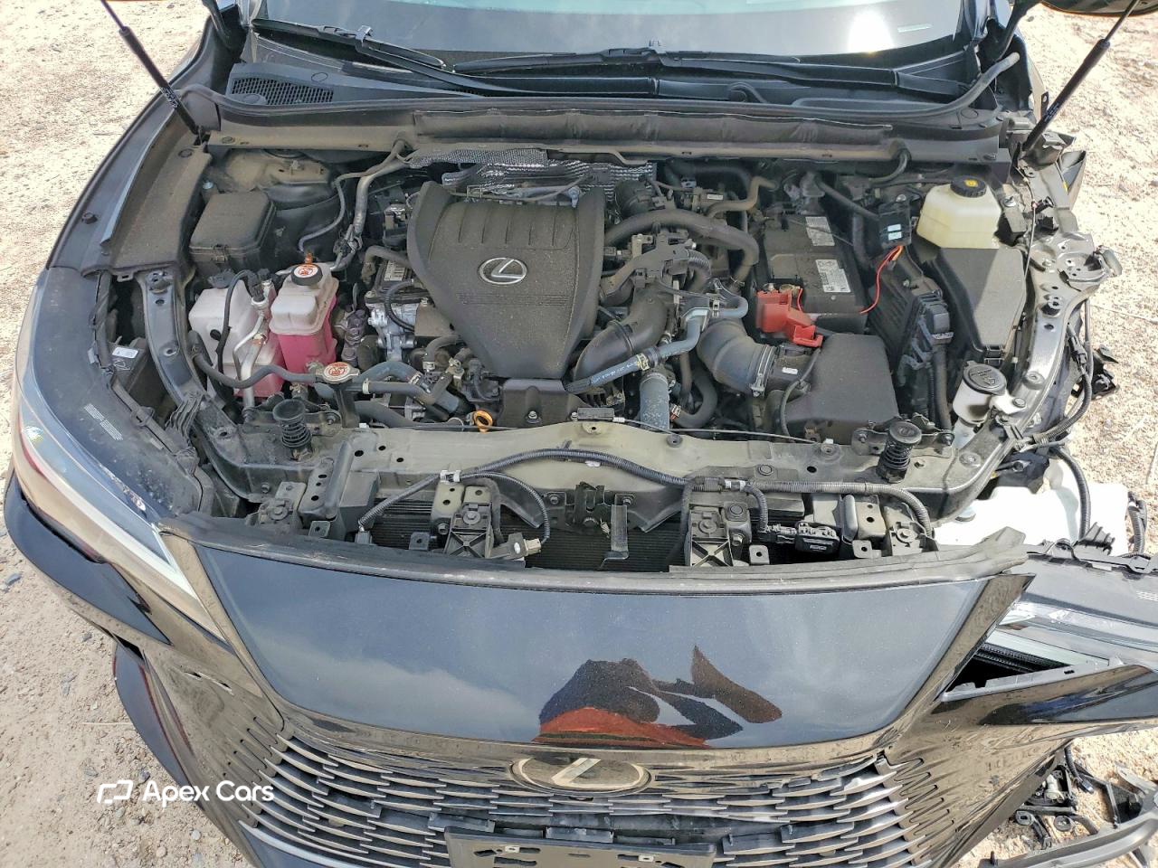 Lexus RX 2024