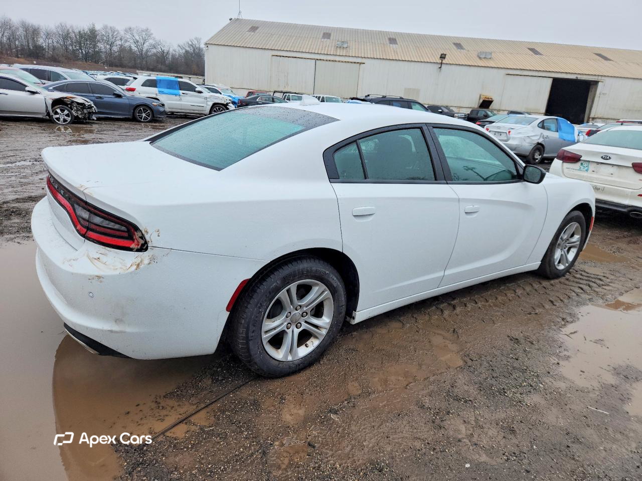 Dodge Charger 2023