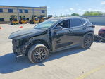 Lexus NX 2025