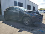 Lexus NX 2022