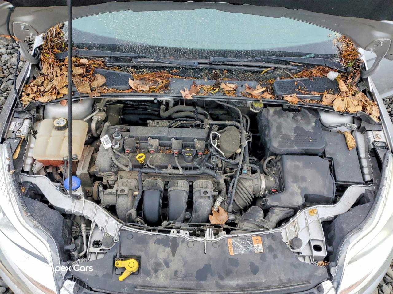 Ford Focus 2014