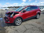 Ford Escape 2014