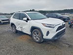 Toyota RAV 4 2023
